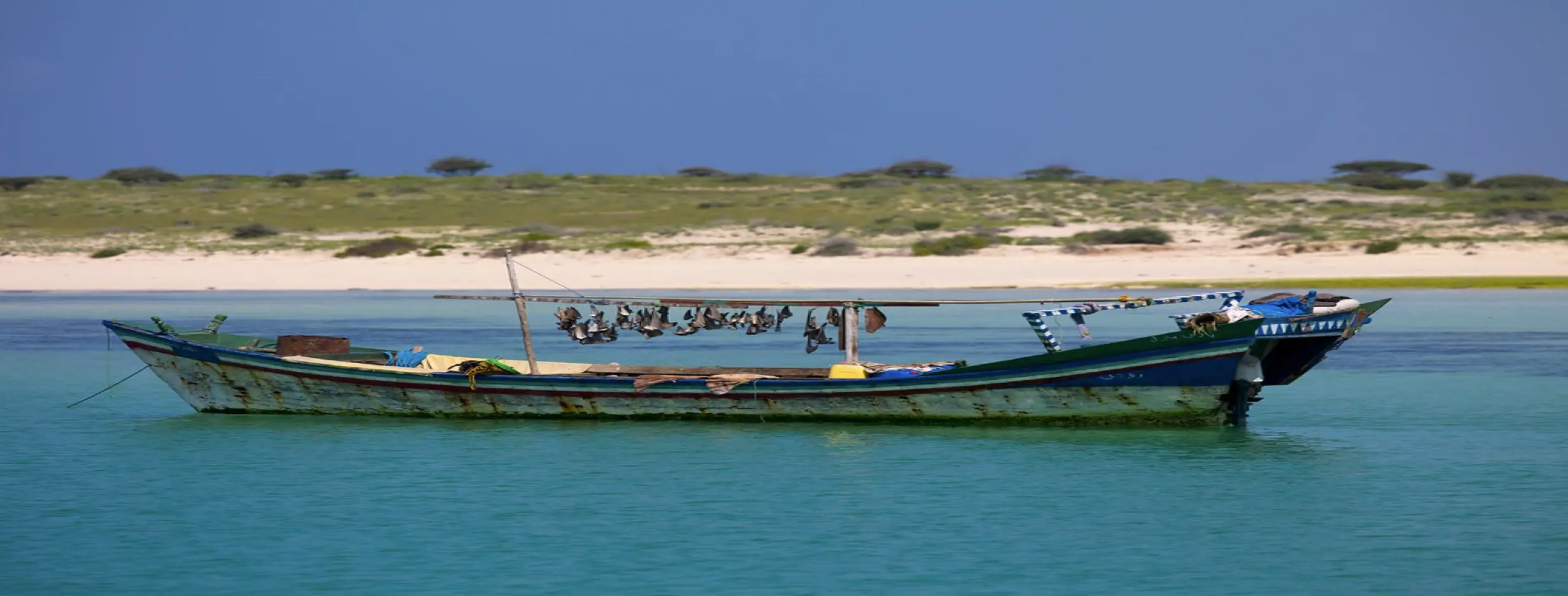 Image for Red Sea Sailing